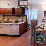 Glicine, San Zeno Di Montagna. *