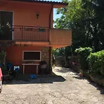 Glicine, San Zeno Di Montagna.