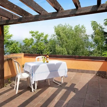 Glicine, San Zeno Di Montagna. *